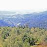 Blick aus großer Höhe über einen Waldgürtel. Im Mittel- und Hintergrund folgen bewaldete Berge, eingeschnittene Täler und schließlich eine weite flache Ebene.