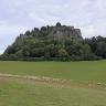 Das Bild zeigt die stark zerklüftete, auf einem bewaldeten Vulkanberg liegende Festungsruine Hohentwiel. Im Vordergrund, unterhalb des Berges, zeigen sich ausgedehnte Wiesen, die von einer Schafherde beweidet werden.