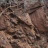 Blick auf eine rötlich graue, nach links geneigte Steinbruchwand. Das Gestein ist stark zerklüftet und auf der Kuppe bewachsen.