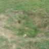 Blick auf eine große schüsselförmige Bodenvertiefung auf einer Wiese. Der Boden der Senke ist von ausgebleichter hellbrauner Farbe. Vereinzelt wachsen Grasbüschel darin.