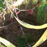 Blick in eine dunkelbraune Bodenvertiefung auf einer Wiese. Rot-weiße Absperr- und gelbe Warnbänder hängen um und über dem Erdfall.