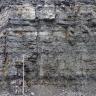 Blick auf eine mehr als 10 Meter hohe Steinbruchwand. Das graue Gestein zeigt eine Wechselfolge aus plattigen bis dünnbankigen Kalksteinen und dünnen, dunkleren Tonmergelgesteinen. Vor der Wand steht ein 5 Meter hoher Maßstab.