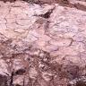 Das Bild zeigt ein mehreckiges Kluftmuster auf einer rosafarbenen Gesteinsoberfläche. Auf der linken unteren Seite des Bildes liegt ein Geologenhammer als Maßstab.