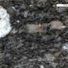 Mikroskopaufnahme einer schwarzgrauen bis grauen, geflaserten bis gepunkteten Gesteinsoberfläche. Links oben im Bild ein weißgraues rechteckiges Mineral mit einem schwarzen Einschluss.
