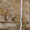 Detailaufnahme einer Abbauwand eines Kalksteinbruchs. Das Gestein ist hellbeige und dickbankig. Vor der Wand befindet sich rechts ein Maßstab.
