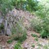 Mit Sträuchern bewachsener kleiner Aufschluss eines rosagrauen Granits. Das Gestein zeigt engständige Klüfte. Oberhalb des Steinbruchs befindet sich ein Wald.