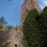 Aufwärts blickend sieht man links eine Burgmauer aus rötlichem Stein und rechts einen hinter Bäumen aufragenden, viereckigen Burgturm. 