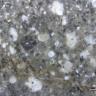 Nahaufnahme eines Gestein mit feinkristalliner, dunkelgrauer Grundmasse, in welche vor allem helle, aber auch ein paar dunkle, verschieden große Einsprenglinge eingebettet sind. Rechts unten befindet sich ein Maßstab.