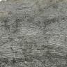Detailaufnahme eines fein geschichteten, hell- bis mittelgrauen Gesteins. Die Schichten verlaufen horizontal.