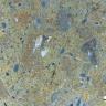 Nahaufnahme einer mehrfarbigen Gesteinsplatte. Neben der rötlich bis gelblich braunen Grundfarbe finden sich auch weißliche und blaue Stellen, teils weniger als fünf Millimeter groß.