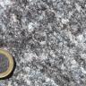 Großaufnahme eines Gesteinsstückes mit weißlich grauer Marmorierung. Links unten dient eine Euro-Münze als Größenvergleich.