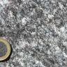 Nahaufnahme einer fleckigen Gesteinsoberfläche. Die Farbskala der Flecken reicht von weiß über grau bis zu schwarz. Eine Euro-Münze links unten dient als Größenvergleich.