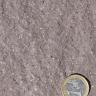 Nahaufnahme einer Gesteinsoberfläche, rötlich grau mit weißlichen und dunkleren Sprenkeln. Rechts unten dient eine Euro-Münze als Größenvergleich.