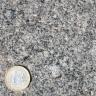 Nahaufnahme einer kristallinen Gesteinsoberfläche, hellgrau bis dunkelgrau, mit wenigen bräunlichen Stellen. Links unten dient eine Euro-Münze als Größenvergleich.