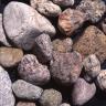 Nahaufnahme von größeren und kleineren Steinen, teils abgerundet, teils scharfkantig. Die Farben reichen von hellem Grau bis zu Brauntönen. 