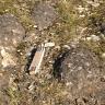 Das Foto zeigt mehrere gewölbte Gesteinsbrocken, die aus einem mit Gras und kleineren Steinen bedeckten Bodenstück herausragen. Ein mittig abgelegter Meterstab dient als Größenvergleich.