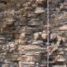 Blick auf eine Steinbruchwand; das hellgraue bis bräunlich graue, plattige Gestein ist teils waagrecht, teils schief geschichtet.