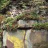 Blick auf eine im oberen Teil stark zugewachsene Steinbruchwand. Im unteren Teil sind noch große, teils gelblich verfärbte Blöcke sichtbar.
