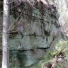 Seitlicher Blick auf eine grünlich graue, an der Kuppe überwachsene Steinbruchwand. Die recht hohe Wand verläuft entlang eines Waldhanges, der sichtbare Teil ist rechts niedriger als links.