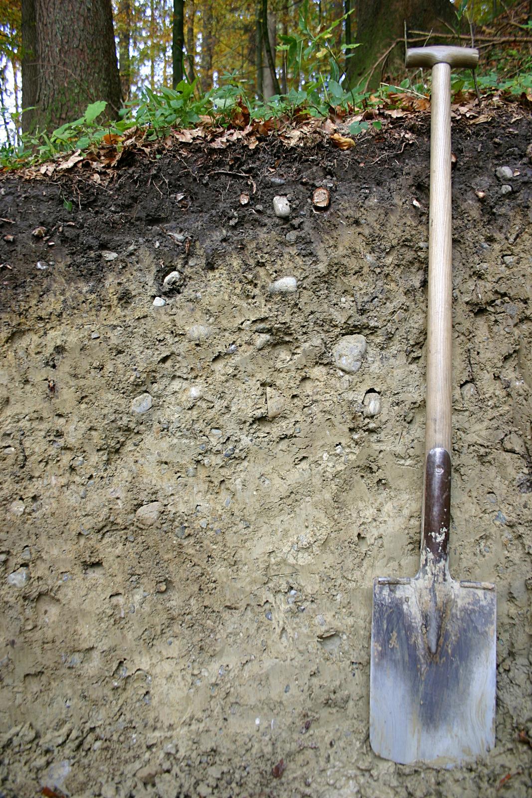 Boden Aus Wurmzeitlichen Moranensedimenten Lgrbwissen Boden Aus Wurmzeitlichen Moranensedimenten Lgrbwissen