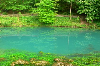 Blick auf einen ovalen, türkisfarbenen See. Im Hintergrund begrenzen Bäume sowie das erhöhte Ufer den See. Im Vordergrund fällt der teils steinige, teils mit Wasserpflanzen bedeckte Seeboden steil ab.