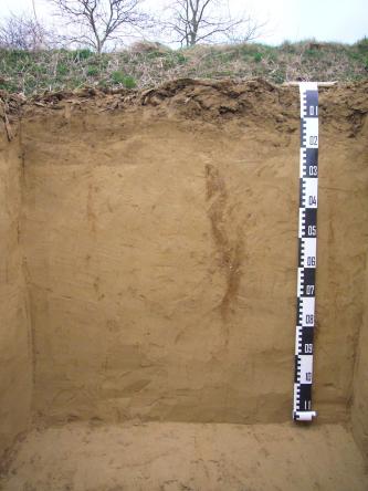 Blick auf ein Bodenprofil unter Acker. Die sichtbare, hellbraune Profilwand ist 110 Zentimeter tief.