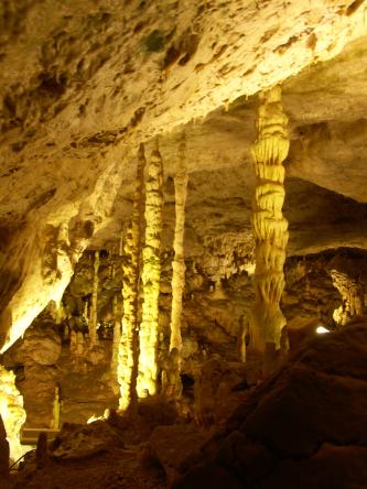 Blick auf mehrere dünne, hohe Tropfsteine, die zwischen dem Boden und der schräg verlaufenden Decke einer Höhle wachsen. Schwaches, von unten kommendes Licht verleiht dem Gestein eine gelblich braune Farbe.