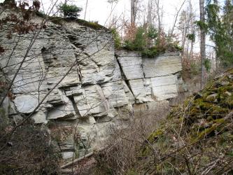 Sandstein-Aufschluss im Wald. Das Gestein ist hell bis mittel grau und steht in verschieden mächtigen Bänken, welche leicht nach links hinten verkippt sind, an. Der Aufschluss ist durch Gehölz eingerahmt.