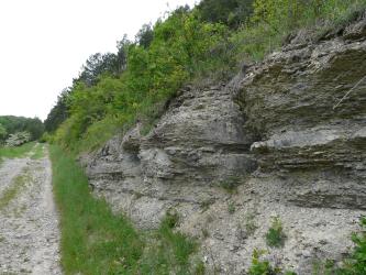 Rechts eines Weges erhebt sich ein dicht mit Gras und Buschwerk bewachsener, steiniger Hang. Das längs gefurchte, teils abgerundete Gestein hat eine graugelbe Farbe. Rechts unten liegt Schutt.