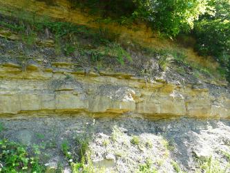 Das Bild zeigt eine aufgelassene, aus mehreren Schichten bestehende, teils bewachsene Steinbruchwand. Auf eine graue, feine Schicht unten folgen dabei gelbliche Steinblöcke in unterschiedlicher Stärke.