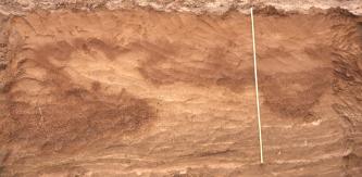 Parabraunerde mit girlandenartig verlaufendem Tonanreichungshorizont auf kalkhaltigen spätglazialen Hochflutsedimenten bei Schwetzingen Teilansicht eines rötlich braunen Bodenprofils mit dunklen Stellen oben und links sowie helleren Stellen unten.