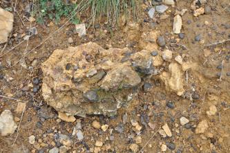 Nahaufnahme eines rötlichen bis gelblich braunen Gesteinsbrockens mit unregelmäßiger Form und Oberfläche. Um den Brocken herum liegen kleine dunkelgraue Steine, die auch in dem Brocken selbst mit verbacken sind.