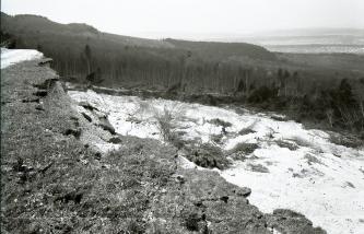 Das Bild zeigt die Abrisskante eines Bergrutsches, von der Kante aus gesehen. Nach unten sind die hellen Bereiche der Rutschmassen sowie am Hangfuß umgestürzte Bäume zu erkennen. Dahinter steht Wald.