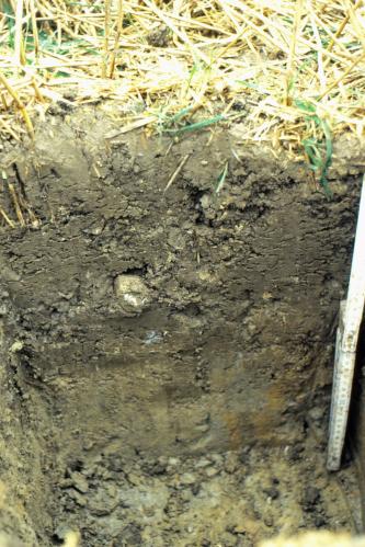 Das Foto zeigt ein aufgegrabenes Bodenprofil unter Acker. Das Bodenprofil ist 40 cm tief.