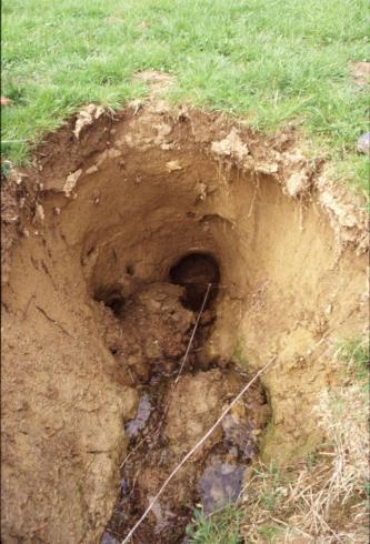 Das Bild zeigt eingebrochenes, rötlich braunes Erdreich auf einer Wiese. In der Grube ist eine weitere, tiefer hinbaführende Öffnung sowie Wasser erkennbar.