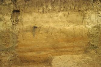 Blick auf eine Bodenprofilwand in einer Kiesgrube. Das Profil weist oben eine gelbbraune bis gelbliche, unten eine streifige, rötliche Färbung auf. Links der Bildmitte dient ein Klappspaten als Größenvergleich.