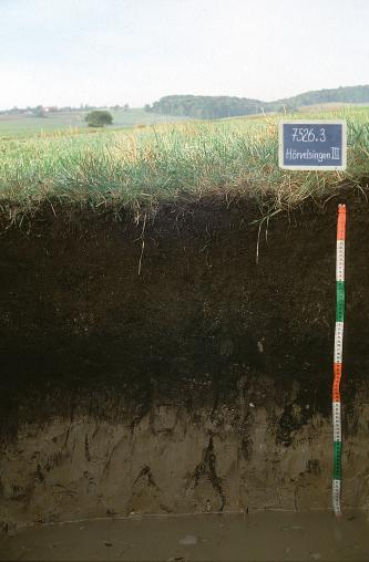 Das Foto zeigt ein Bodenprofil unter Gras auf einer leicht nach rechts ansteigenden Wiese. Das schwärzliche Profil ist 90 cm tief. Rechts oben ist eine beschriftete Tafel aufgestellt.