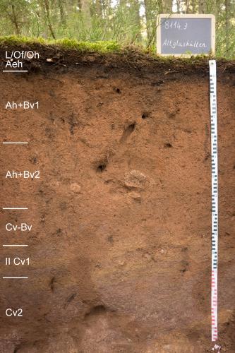 Blick auf ein Musterprofil des LGRB unter Wald. Die rötlich braune Profilwand ist über 140 Zentimeter tief und links in sechs Bodenhorizonte eingeteilt. Rechts oben steht eine Tafel mit Nummer und Name des Profils.