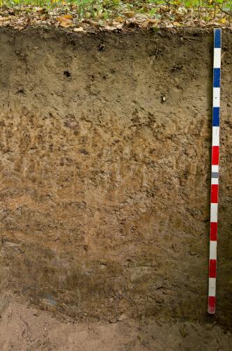 Parabraunerde-Pseudogley aus lösslehmreichen Fließerden über toniger Basislage aus Lettenkeupermaterial Das Foto zeigt ein Bodenprofil. Es handelt sich um ein Musterprofil des LGRB. Das Bodenprofil ist über 1 m tief.