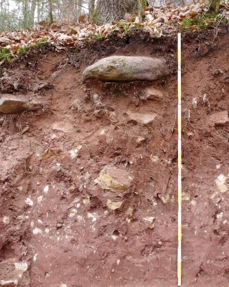 Das Bild zeigt ein aufgegrabenes Bodenprofil unter Wald. Das rötlich braune, oben steinige Profil ist über 140 cm tief.