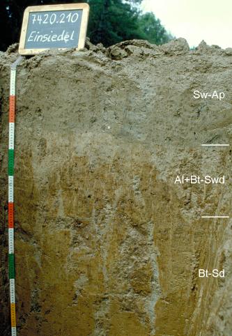 Das Foto zeigt ein Bodenprofil unter Acker. Es handelt sich um ein Musterprofil des LGRB. Das in drei Horizonte gegliederte Profil ist 1,10 m tief. Eine Tafel links oben nennt Nummer und Namen des Profils.