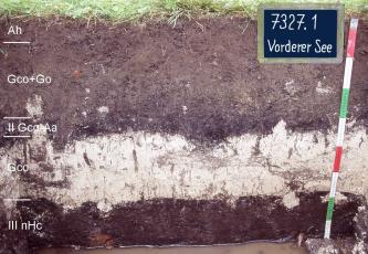 Das Foto zeigt ein Bodenprofil des LGRB unter Gras. Das in fünf Horizonte unterteilte Profil ist 80 cm tief. Am Boden des dreifarbigen Profils  - oben braun, mittig weiß sowie unten schwärzlich - steht Wasser. Oben links ist eine Kreidetafel angebracht.