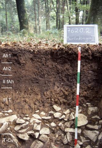 Das Foto zeigt ein Bodenprofil unter Wald. Es handelt sich um ein Musterprofil des LGRB. Das sechs Horizonte umfassende, im unteren Drittel steinige Profil ist über 80 cm tief.