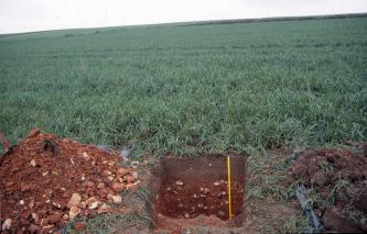 Das Bild zeigt ein aufgegrabenes Bodenprofil in einem nach links geneigten, bepflanzten Acker. Der untere Teil der Profilgrube sowie der Aushub links sind rötlich gefärbt.