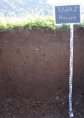 Das Foto zeigt ein Bodenprofil unter Grünland. Es handelt sich um ein Musterprofil des LGRB. Das Bodenprofil ist 90 cm tief.