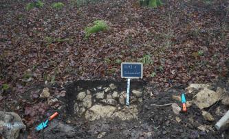 Das Foto zeigt ein Bodenprofil unter Wald. Es handelt sich um ein Musterprofil des LGRB. Das sehr steinige Profil ist nur etwa 40 cm tief.