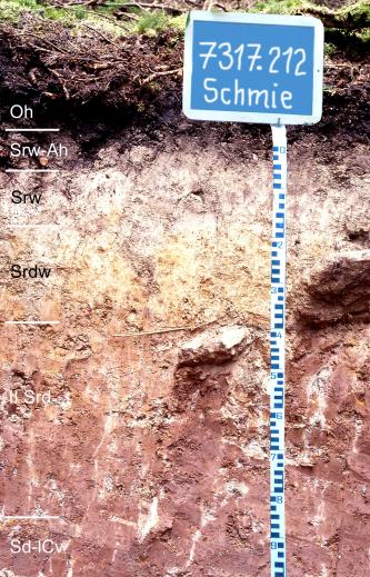 Blick auf ein mehrfarbiges Bodenprofil des LGRB. Unter einer dunkelbraunen Humusdecke folgen weißlich gelbe sowie rötliche bis violette Bodenhorizonte. Rechts der Bildmitte sind größere Steine eingebettet.