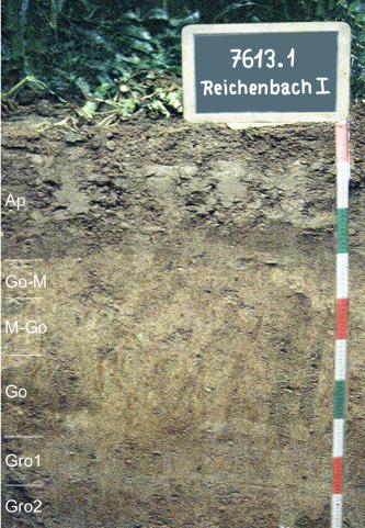 Blick auf ein streifig braunes Bodenprofil unter Wald. Eine Kreidetafel rechts weist das Profil als Musterprofil des LGRB aus. Das in sechs Horizonte unterteilte Profil ist 1 m tief.