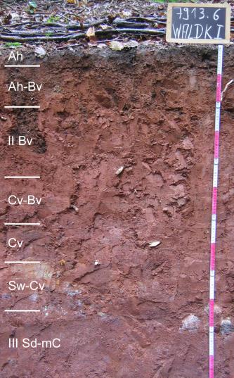 Das Bild zeigt ein aufgegrabenes Bodenprofil unter Wald. Das Profil ist durch eine beschriftete Kreidetafel als Musterprofil des LGRB ausgewiesen. Das in sieben Horizonte gegliederte, braun-violette Profil ist 1,20 m tief.