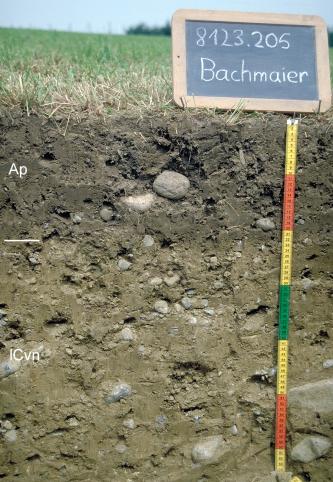 Das Foto zeigt ein Bodenprofil unter Acker. Es handelt sich um ein Musterprofil des LGRB. Das zwei Horizonte umfassende Profil ist etwa 65 cm tief.